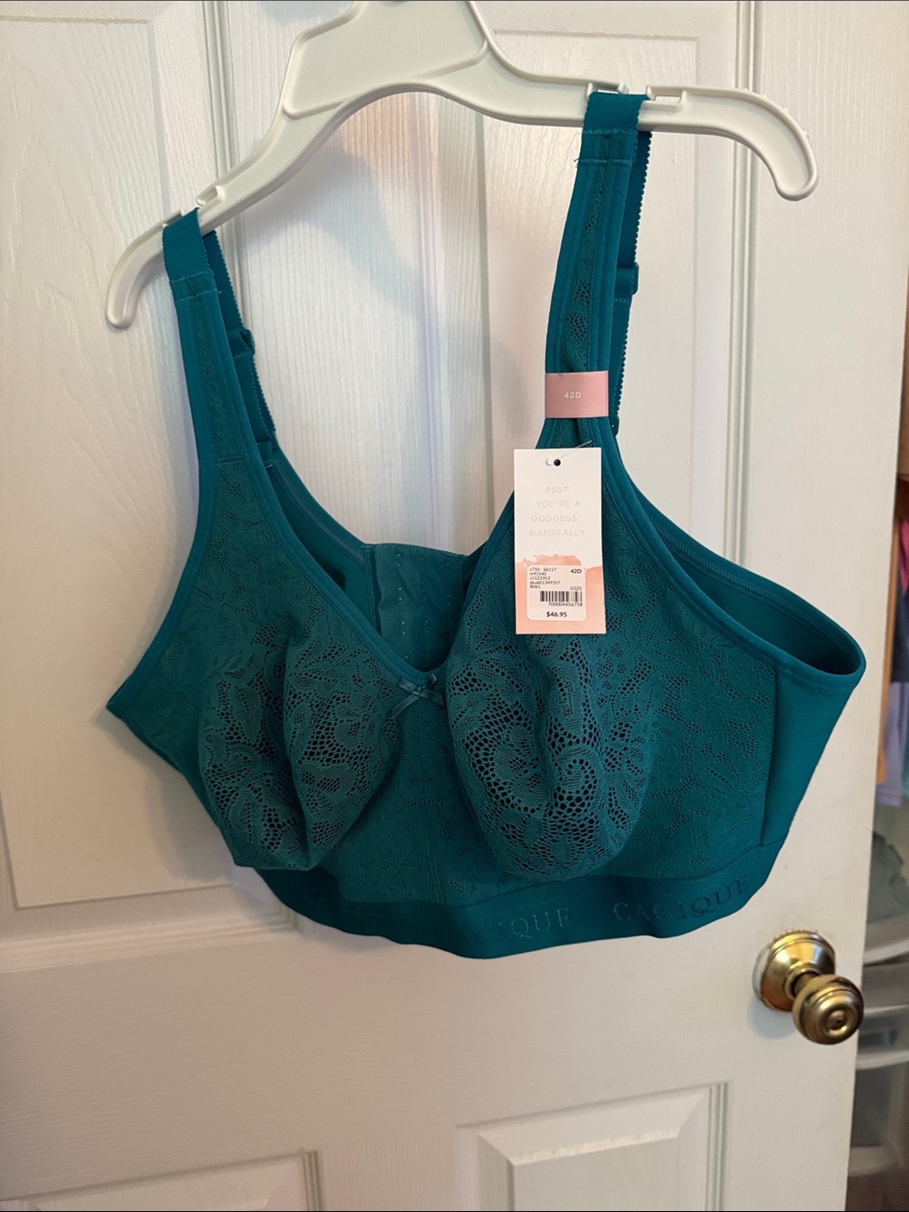 Cacique Teal Lace Wireless Comfort Bra
